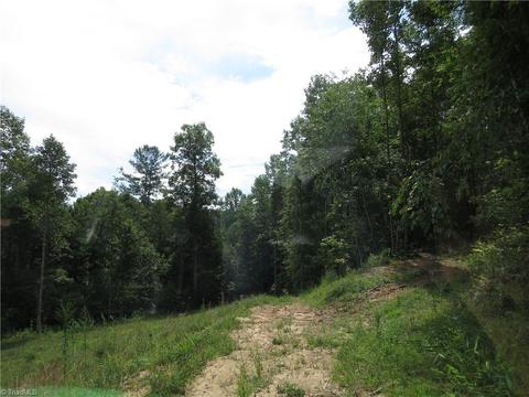 479 Benny Parsons Rd, Purlear, NC 28665 photo 18