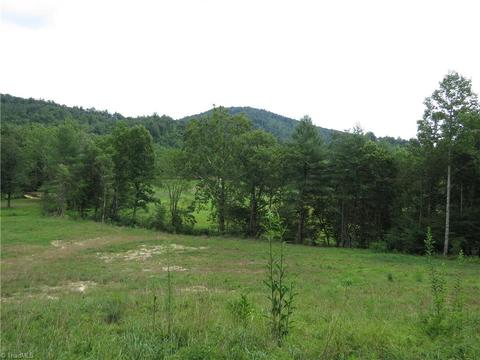 479 Benny Parsons Rd, Purlear, NC 28665 photo 29