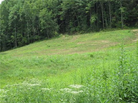 479 Benny Parsons Rd, Purlear, NC 28665 photo 34