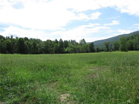 479 Benny Parsons Rd, Purlear, NC 28665 photo 3