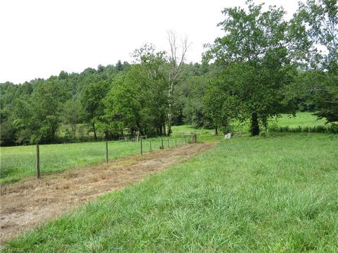 479 Benny Parsons Rd, Purlear, NC 28665 photo 9