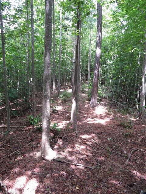 479 Benny Parsons Rd, Purlear, NC 28665 photo 24