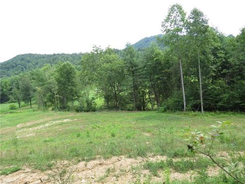 479 Benny Parsons Rd, Purlear, NC 28665 photo 5