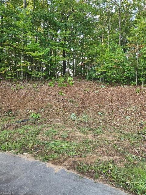 Lot 16 Jordan Lane, Walnut Cove, NC 27052