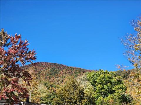 9830 W Pine St, Lowgap, NC 27024 photo 4