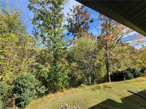 9830 W Pine St, Lowgap, NC 27024 photo 8