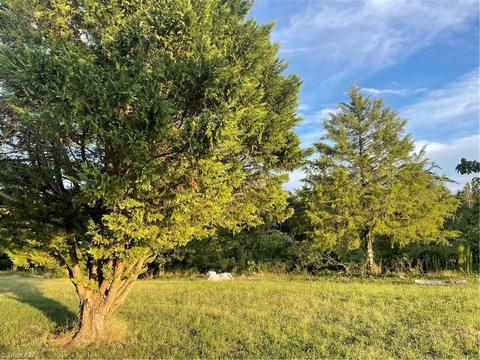 2157 Willie Wright Rd, Ramseur, NC 27316 photo 4
