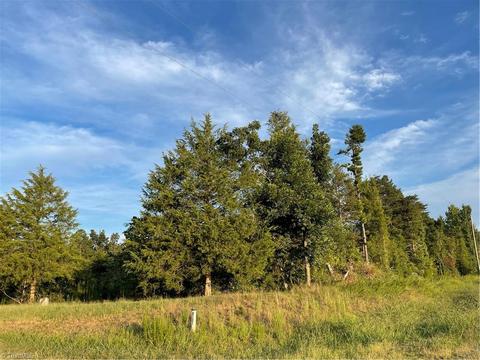 2157 Willie Wright Rd, Ramseur, NC 27316 photo 3