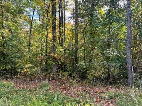 00 Greenhill Rd #LOT 2, Mount Airy, NC 27030