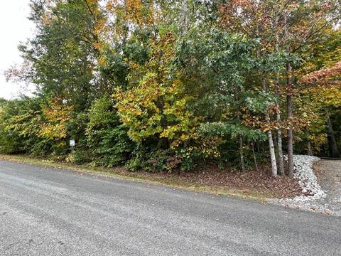00 Gloria Dr #LOT 6 PLUS 4.63 AC, Mount Airy, NC 27030