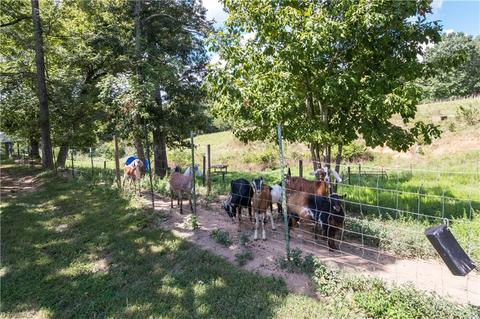3832 Millers Mill Rd, Trinity, NC 27370 photo 41