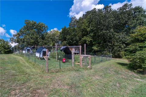 3832 Millers Mill Rd, Trinity, NC 27370 photo 38