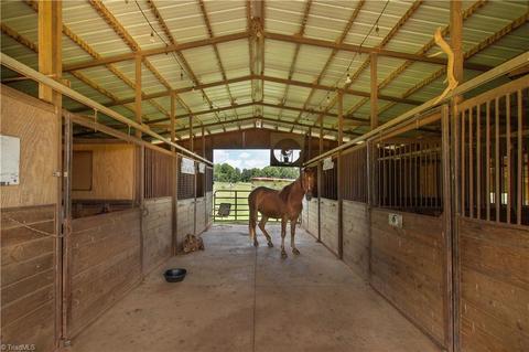 5852 Gallimore Town Rd, Trinity, NC 27370 photo 39