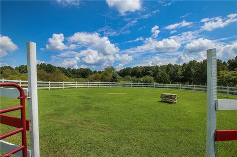 5852 Gallimore Town Rd, Trinity, NC 27370 photo 45