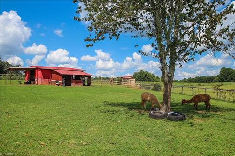 5852 Gallimore Town Rd, Trinity, NC 27370 photo 40