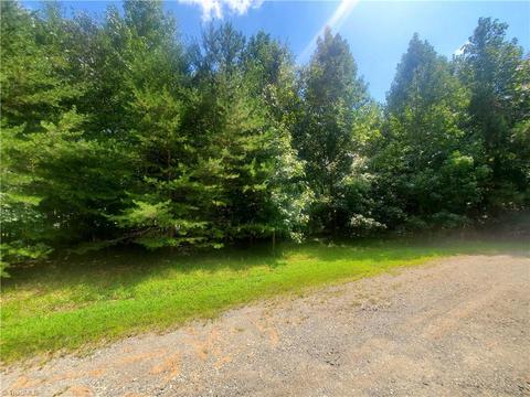 0 Hollow Tree Dr, Liberty, NC 27298