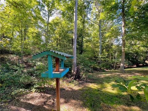 509 Summit St, Madison, NC 27025 photo 44