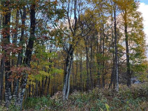 10 Hidden Valley Lane, Independence, VA 24348