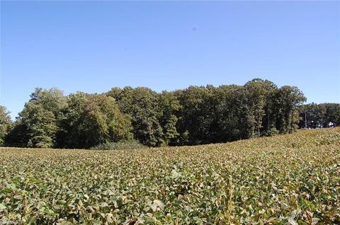 0 Caudle Rd, Pinnacle, NC 27043 photo 3