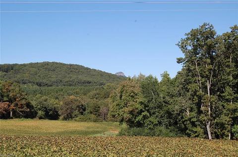 0 Caudle Rd, Pinnacle, NC 27043 photo 1