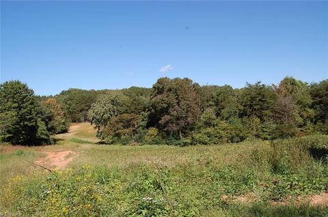 0 Caudle Rd, Pinnacle, NC 27043 photo 7