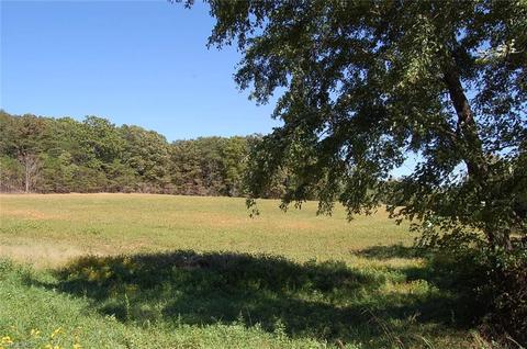 0 Caudle Rd, Pinnacle, NC 27043 photo 10