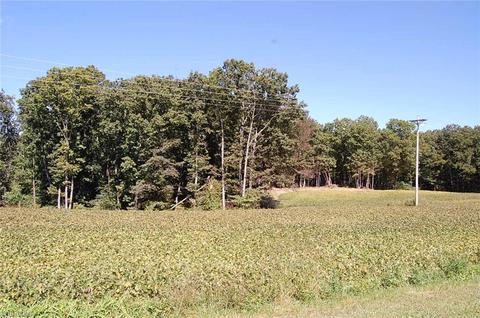 0 Caudle Rd, Pinnacle, NC 27043 photo 5