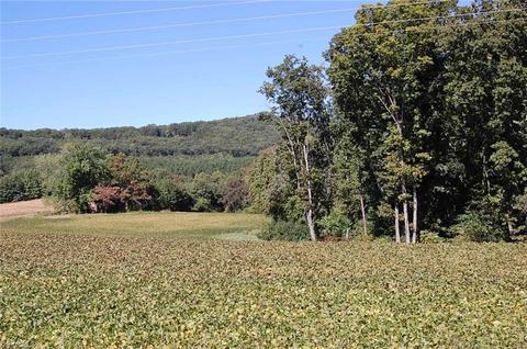 0 Caudle Rd, Pinnacle, NC 27043 photo 9