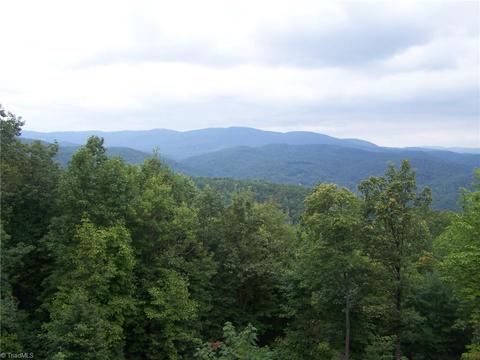 150 Buck Mountain Rd, Purlear, NC 28665