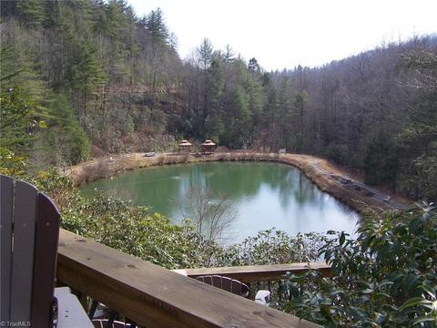 150 Buck Mountain Rd, Purlear, NC 28665 photo 3