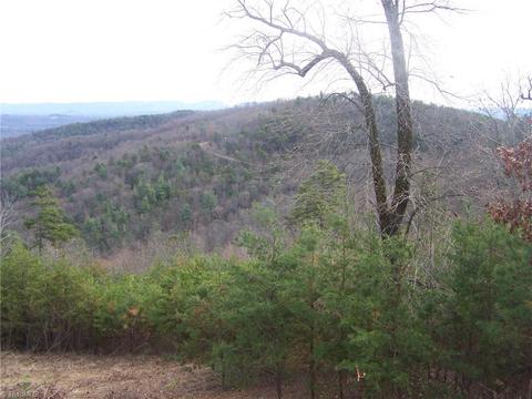 150 Buck Mountain Rd, Purlear, NC 28665 photo 5