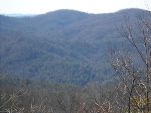 150 Buck Mountain Rd, Purlear, NC 28665 photo 6