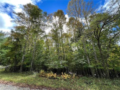 Tbd Bertie Circle, Piney Creek, NC 28663