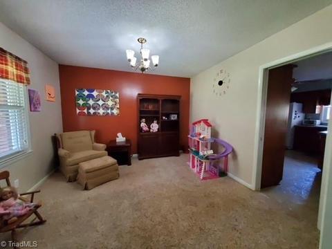 9125 Boone Trl, Purlear, NC 28665 photo 11