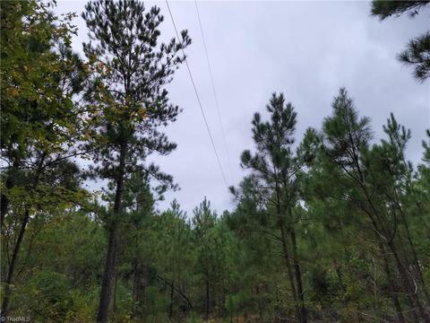 567 Sedberry Rd, Biscoe, NC 27209 photo 9