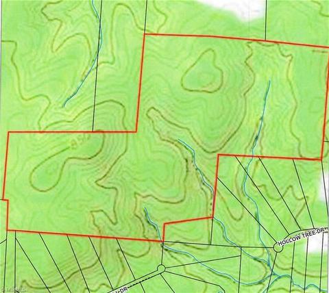 0 Shelton Country Rd, Climax, NC 27233
