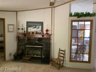 205 Squash Dr, Purlear, NC 28665 photo 7