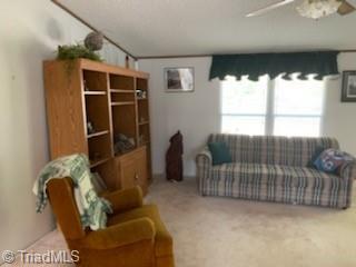 205 Squash Dr, Purlear, NC 28665 photo 6