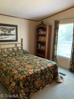 205 Squash Dr, Purlear, NC 28665 photo 11