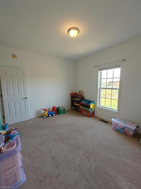 454 Reedside Dr, Fancy Gap, VA 24328 photo 24