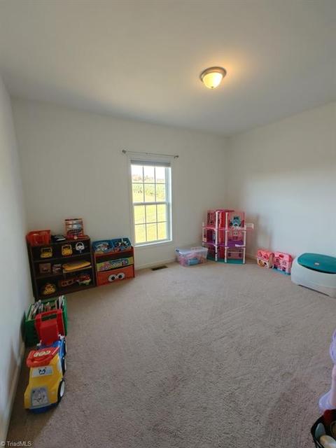 454 Reedside Dr, Fancy Gap, VA 24328 photo 23