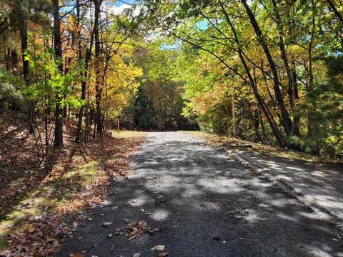 351 Mountain View Dr, Lowgap, NC 27024 photo 49