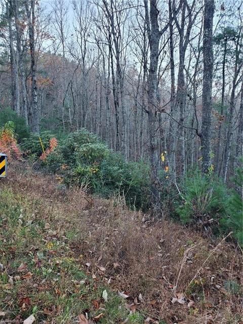 Tbd Summit Road, Purlear, NC 28665 photo 2
