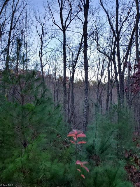 Tbd Summit Road, Purlear, NC 28665 photo 3