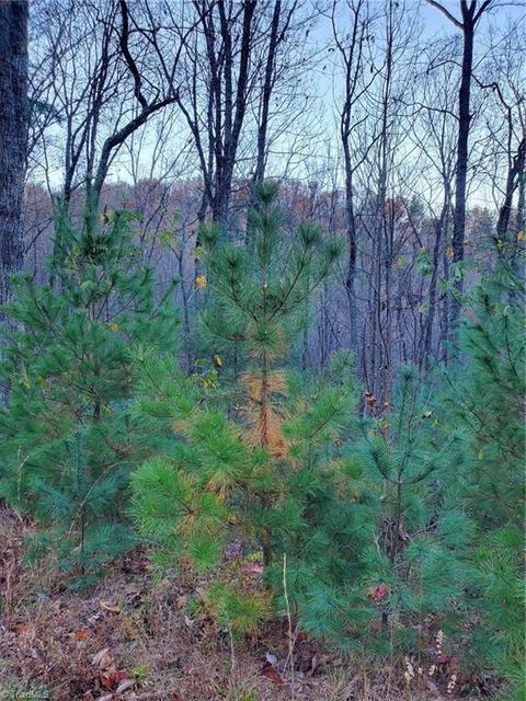Tbd Summit Road, Purlear, NC 28665