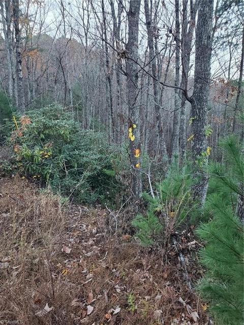 Tbd Summit Road, Purlear, NC 28665 photo 4