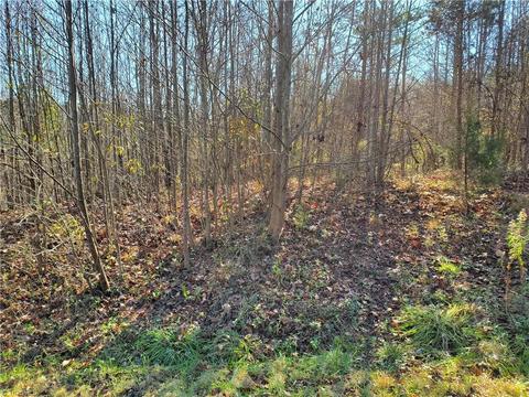 APT 7 Faylyn Drive, Pfafftown, NC 27040