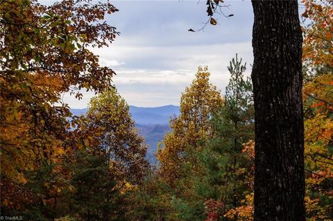 899 Bobcat Mountain Rd, Purlear, NC 28665 photo 36