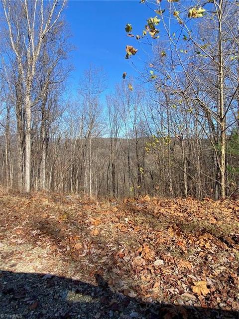 229 Meadow Crossing Drive, Mcgrady, NC 28649