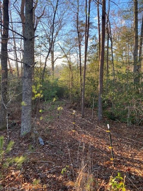 730 Singing Waters Ln, Purlear, NC 28665 photo 25